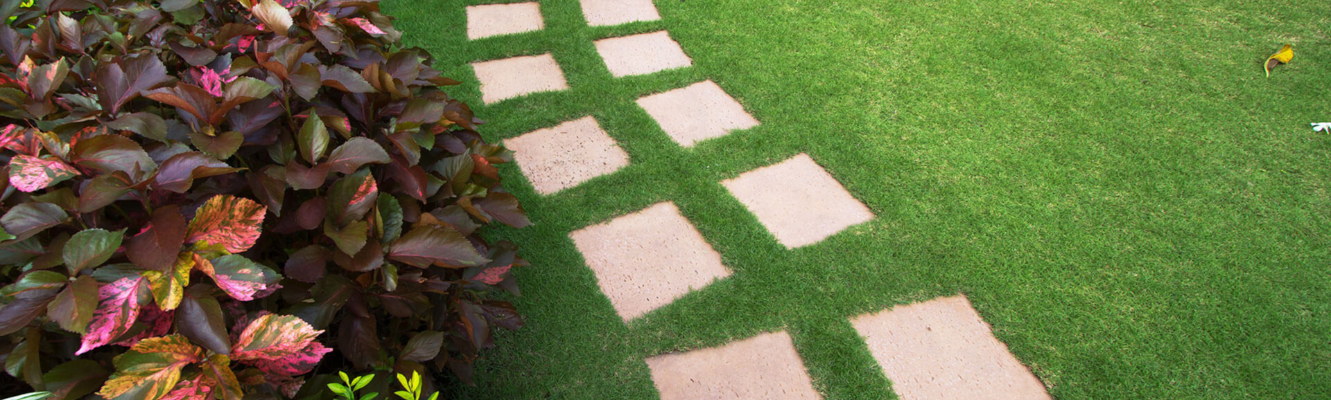 closeup of a stone pathway