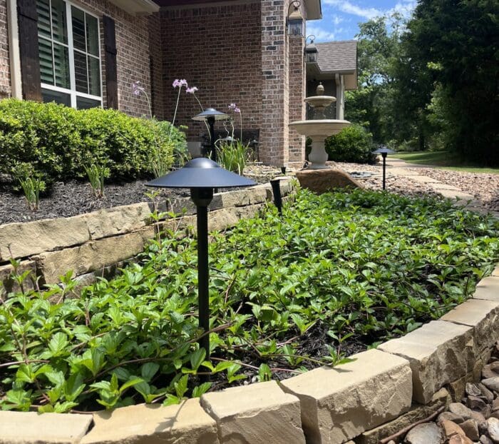 College Station, TX Landscape Lighting