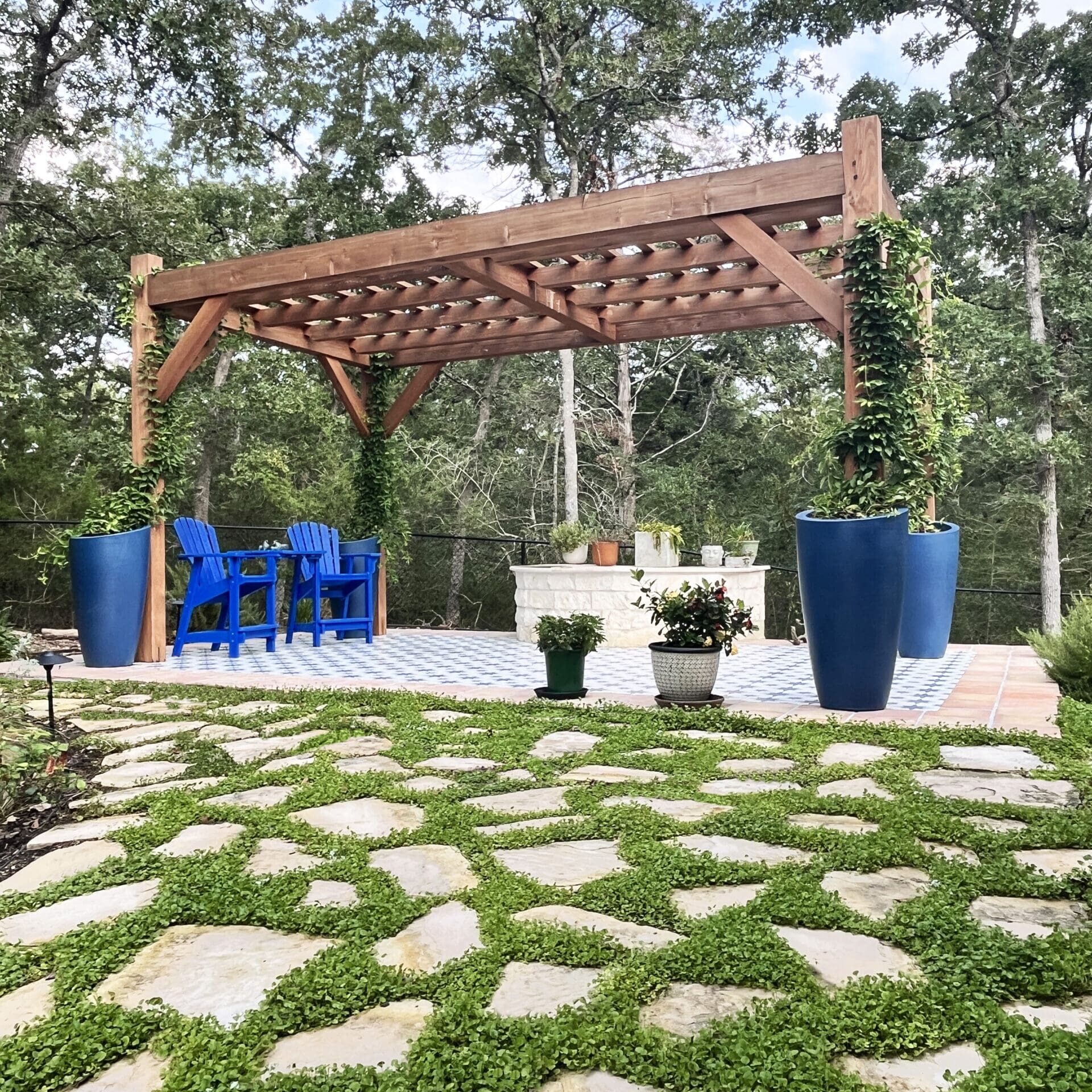 College Station-TX-Pergola-Vines College Station-TX-Pergola-Vines